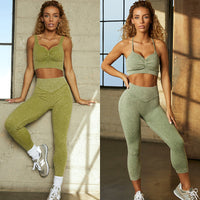 ShapelyFit Ensemble