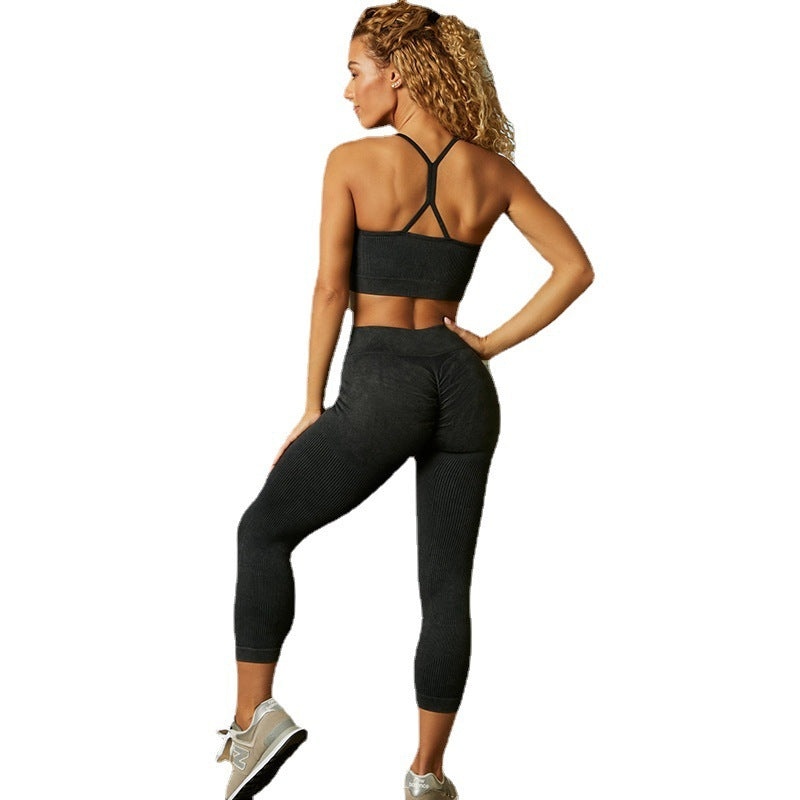 ShapelyFit Ensemble